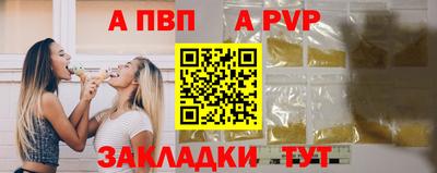 стаф Донской