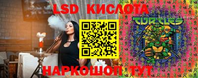стаф Донской