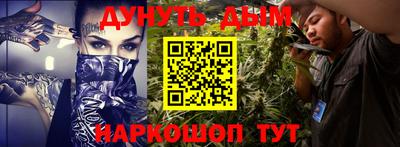 стаф Донской