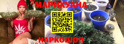 стаф Донской