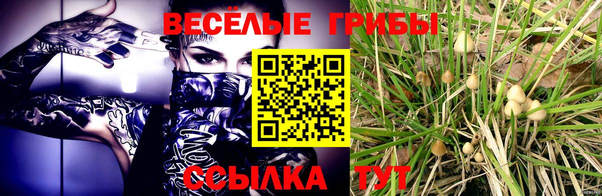 Псилоцибиновые грибы мицелий Боровичи