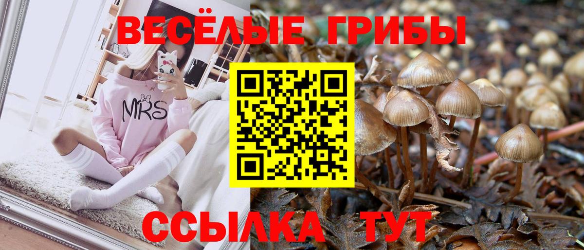 Псилоцибиновые грибы Magic Shrooms  Вход с VPN  Псилоцибиновые грибы MAGIC MUSHROOMS  Боровичи 